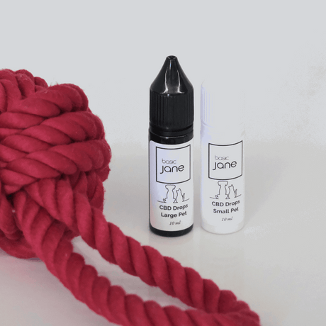 cbd oil for cats. dog cbd. cbd for cats. cbd for dogs. anxiety management. pain relief 