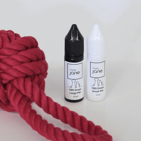 cbd oil for cats. dog cbd. cbd for cats. cbd for dogs. anxiety management. pain relief 