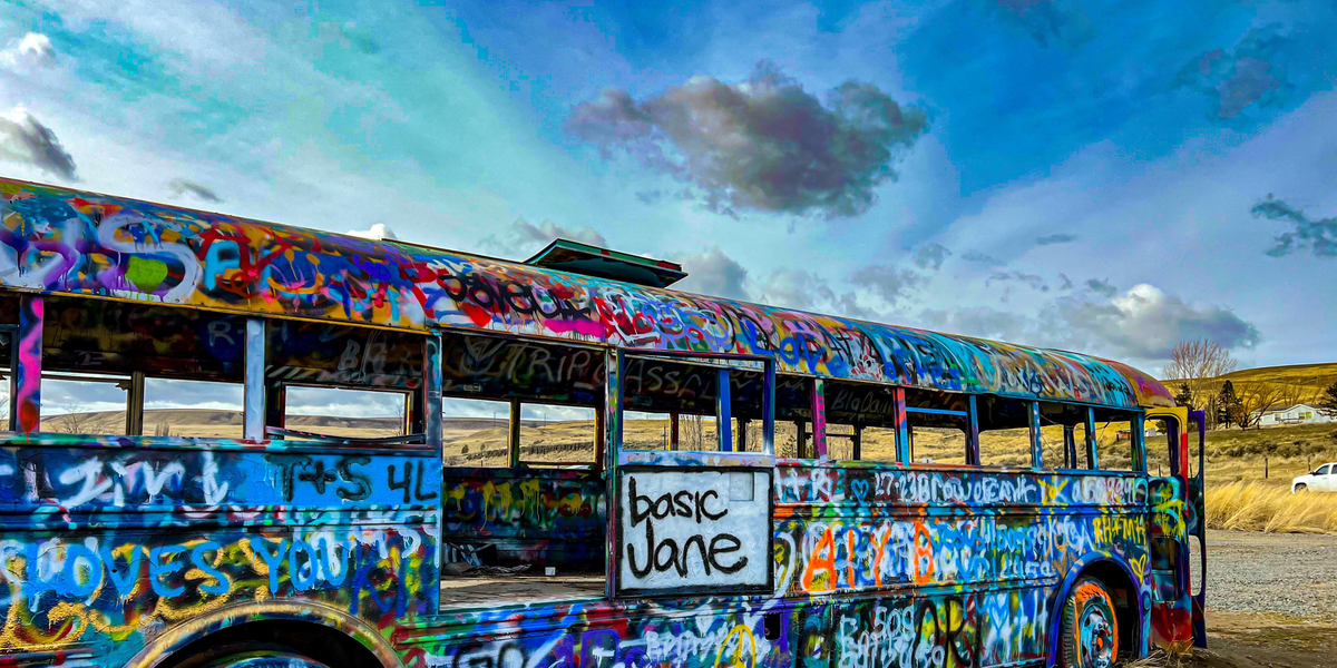 Art Basic Jane bus. Award winning CBD products enable travel and activity.  Decrease pain. 