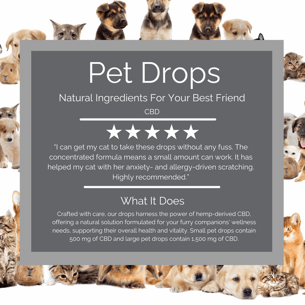 CBD Pet Drops