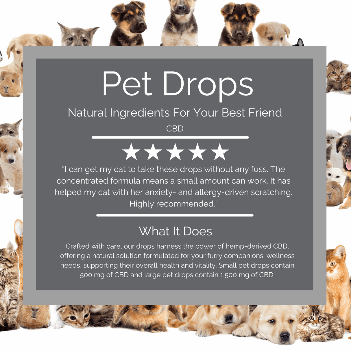 CBD Pet Drops. Premium CBD wellness products for natural relief and recovery. better then CBD pet treats. 